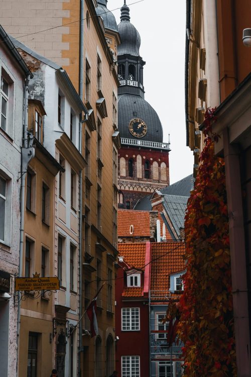 pexels-moritz-423962034-15161611